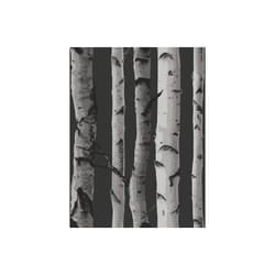 Birch Trees Wallpaper Fine Decor
