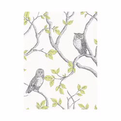 Woodland Owls Wallpaper Fine Decor