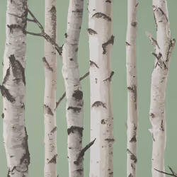 Fine Decor Birch Trees Sage Wallpaper Modern Contemporary Paste The Wall