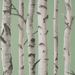 Fine Decor Birch Trees Sage Wallpaper Modern Contemporary Paste The Wall