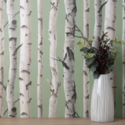 Fine Decor Birch Trees Sage Wallpaper Modern Contemporary Paste The Wall