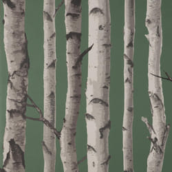 Fine Decor Birch Trees Dark Green Wallpaper Modern Contemporary Paste The Wall