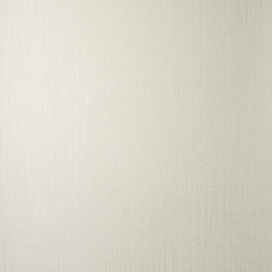 Wisteria Plain Neutral Wallpaper 10.05m Washable Peelable Lightfast Easy Apply