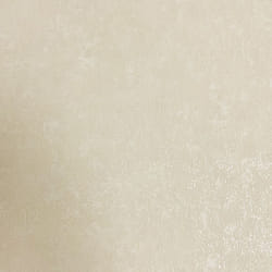 Vymura Sofia Texture Natural Wallpaper M95674