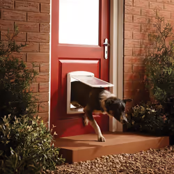 Cat/ Dog Flap For Small Pets (Lockable) By Petsafe - MEDIUM WHITE 740EF