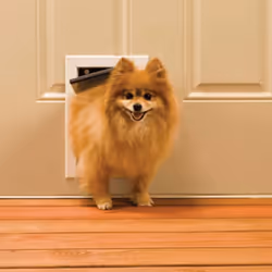 PetSafe Pet Flap 600 Aluminium