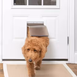 PetSafe Magnetic Pet Flap Gate Door Cat Small Dog 620 Aluminium