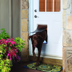 PetSafe Magnetic Pet Flap Gate Puppy Door Cat Dog 640 Aluminium