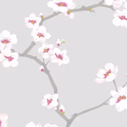 Fresco Apple Blossom Tree Floral Grey Wallpaper