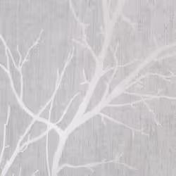 Fresco Grey Winter Tree Forest Silhouette Wallpaper