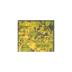 Orquesta Filarmonica de la Ciudad de Mex  Pianokonsert 2Rhapsody on a T CD