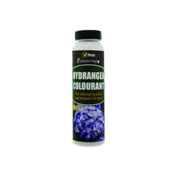250g Blue Hydrangea Colour