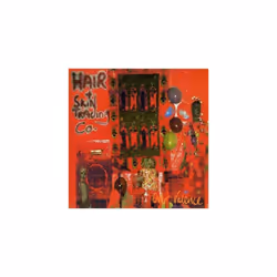 Hair and Skin Trading Co Over Valence CD