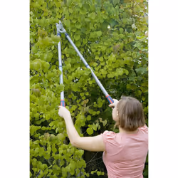 Spear and Jackson 4902RSS Razorsharp Steel Telescopic Anvil Lopper, Multi-coloured
