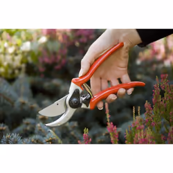 Spear and Jackson 6657BS Razorsharp Professional Pro Short Blade Heavy Duty Bypass Secateurs, Red, Small