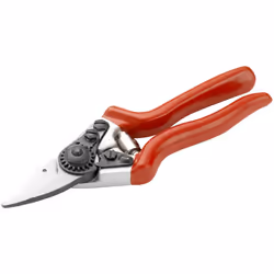 Spear and Jackson 6657BS Razorsharp Professional Pro Short Blade Heavy Duty Bypass Secateurs, Red, Small