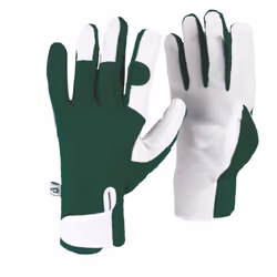 GNMGLOVESKEW Kew Gardens Collection Leather Palm Gloves, Green, Medium