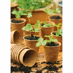 Gardman Grow it 08325 Round Fibre Pots, Multi-Colour, 6 cm