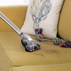 VAX Air Stretch Pet Vacuum Cleaner-CCQSASV1P1 - Additional view 6