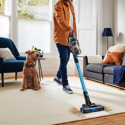 VAX 1-1-142463 vacuum 0.6 L Cylinder vacuum Dry 180 W Bagless