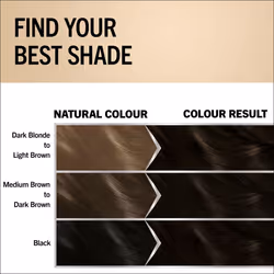 Schwarzkopf Oleo Intense Permanent Oil Hair Colour - Black Brown 2-10