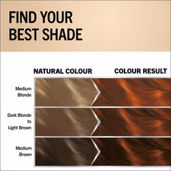 Oleo Intense Permanent Oil Colour 5-77 Light Copper Brown Hair Dye, 100% Grey Coverage, Conditioner with HaptIQ System, Long-Lasting Colour, Ammonia