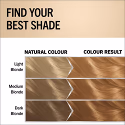 Schwarzkopf Oleo Intense Permanent Oil Colour Hair Dye 8-86 Golden Dark Blonde