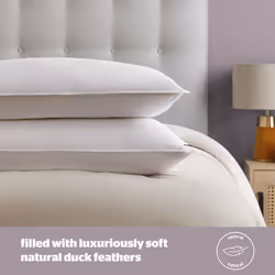 Silentnight Duck Feather Pillows with Cotton Cover - 2 Pack