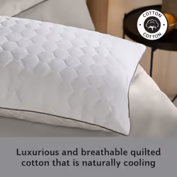 Sealy Deeply Full Pillow Luxury Fibres Medium Support