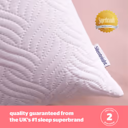 Silentnight The Ultimate Pillow