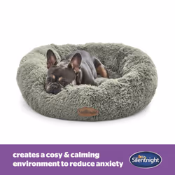 Silentnight Calming Donut Pet Bed Round Soft Doghnout Cushion for Dogs and Cats - Small/Medium, Sage
