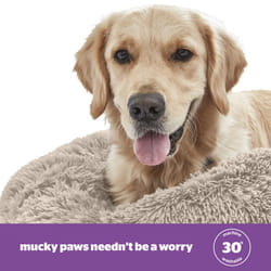 Silentnight Calming Donut Pet Bed Round Soft Doghnout Cushion for Dogs and Cats - Large, Natural