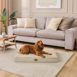 Silentnight Firm Support Crate Mattress Pet Bed - Medium