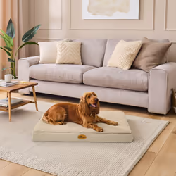 Silentnight Firm Support Crate Mattress Pet Bed - Large