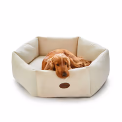 Silentnight Deep Sleep Donut Pet Bed Calming and Cocooning Premium Velvety Soft - Medium