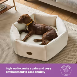 Silentnight Deep Sleep Donut Pet Bed Calming and Cocooning Premium Velvety Soft - Medium
