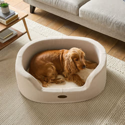 Silentnight Orthopaedic Donut Pet Bed Calming Contoured Support for Dogs - Medium