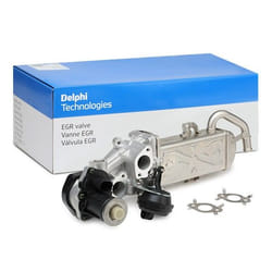 DELPHI EG10472-12B1 EGR valve Electric VOLKSWAGEN: Tiguan I, Caddy 3, GOLF 6, SKODA: Octavia 2 Combi, Superb II Estate, Octavia II Hatchback