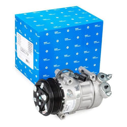 DELPHI CS20519 AC Compressor 6SEU16 PAG 46 FORD: KUGA 1