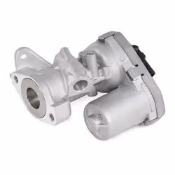 DELPHI EG10399-12B1 EGR valve Electric FORD: Transit Mk6 Tourneo, Transit Mk6 Van, Transit Mk6 Minibus, PEUGEOT: Boxer Van, Boxer Platform / Chassis