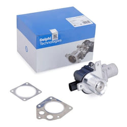 DELPHI EG10425-12B1 EGR valve Electric RENAULT: GRAND SCENIC 3, Kangoo II Express, MEGANE 2 Coupe-Cabriolet, DACIA: SANDERO 2