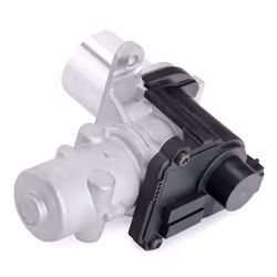 DELPHI EG10425-12B1 EGR valve Electric RENAULT: GRAND SCENIC 3, Kangoo II Express, MEGANE 2 Coupe-Cabriolet, DACIA: SANDERO 2