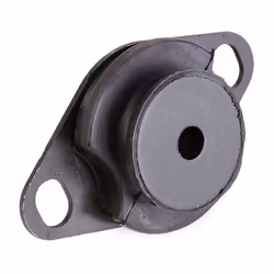 DELPHI TEM109 Engine mount Rear RENAULT: CLIO 2, Kangoo I, MEGANE 1 Coach