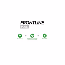 FRONTLINE Plus Flea & Tick Treatment for Cats and Ferrets - 3 Pipettes