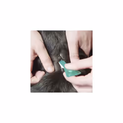 FRONTLINE Plus Flea & Tick Treatment for Large Dogs (20-40 kg) - 6 Pipettes