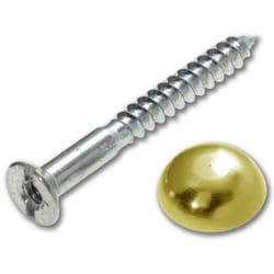 Bulk Hardware BH02142 Mirror Screw Cap Covers with Brass Dome and Washers, 38mm (1.1/2 inch) - Pack of 4
