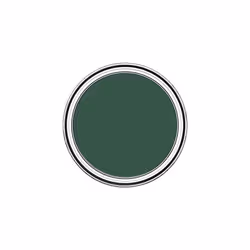 Green Furniture Paint in Gloss Finish - The Pinewoods 750ml