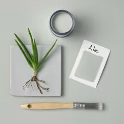 Rust-Oleum Light Green Kitchen Cupboard Paint in Matt Finish - Aloe 750ml