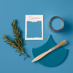 Blue Mould Resistant Garden Paint in Matt Finish - Cerulean 750ml
