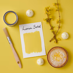 Yellow Mould Resistant Garden Paint in Matt Finish - Lemon Sorbet 750ml